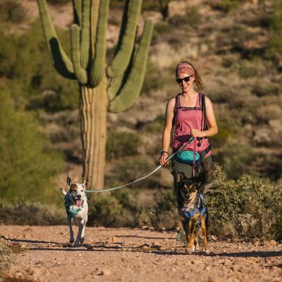 Show full view: Ruffwear Hi & Light Polyethylene Dog Leash, Sage Green, 4.5-ft long, 0.78-in wide slide 3 of 6