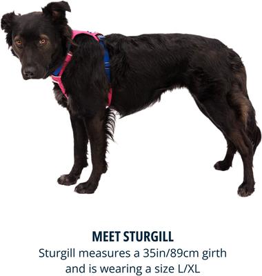 Show full view: Ruffwear Hi & Light Reflective Front-Clip Dog Harness, Alpenglow Pink, Medium: 27 to 32-in chest slide 8 of 9