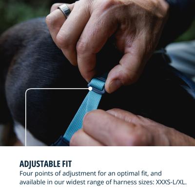 Show full view: Ruffwear Hi & Light Reflective Front-Clip Dog Harness, Basalt Gray, XX-Small: 13 to 17-in chest slide 6 of 8