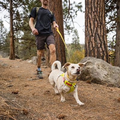 Show full view: Ruffwear Hi & Light Reflective Front-Clip Dog Harness, Lichen Green, Large/X-Large: 32 to 42-in chest slide 4 of 8