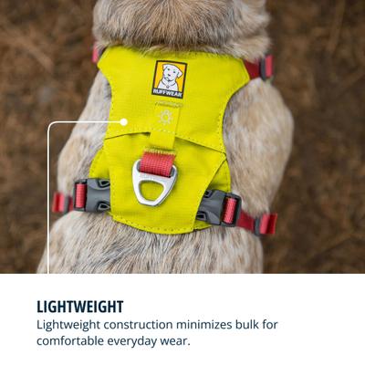 Show full view: Ruffwear Hi & Light Reflective Front-Clip Dog Harness, Lichen Green, Medium: 27 to 32-in chest slide 6 of 9