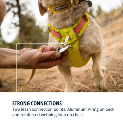 Show full view: Ruffwear Hi & Light Reflective Front-Clip Dog Harness, Lichen Green, X-Small: 17 to 22-in chest slide 8 of 9