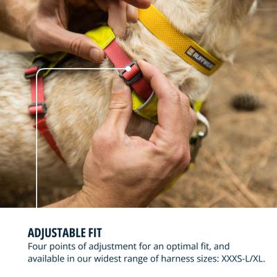 Show full view: Ruffwear Hi & Light Reflective Front-Clip Dog Harness, Lichen Green, X-Small: 17 to 22-in chest slide 7 of 9