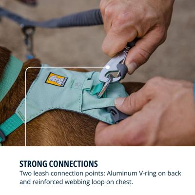 Show full view: Ruffwear Hi & Light Reflective Front-Clip Dog Harness, Sage Green, Small: 22 to 27-in chest slide 7 of 8