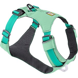 Ruffwear Hi & Light Reflective Front-Clip Dog Harness, Sage Green, XX-Small: 13 to 17-in chest