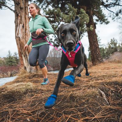 Show full view: Ruffwear Hi & Light Trail Dog Shoes, Blue Pool, 2.50-in, Set of 2 slide 4 of 5
