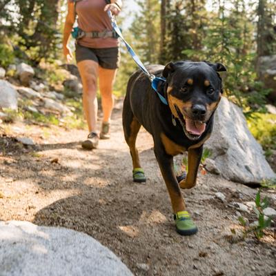 Show full view: Ruffwear Hi & Light Trail Dog Shoes, River Rock Green, 1.75-in, Set of 2 slide 4 of 5