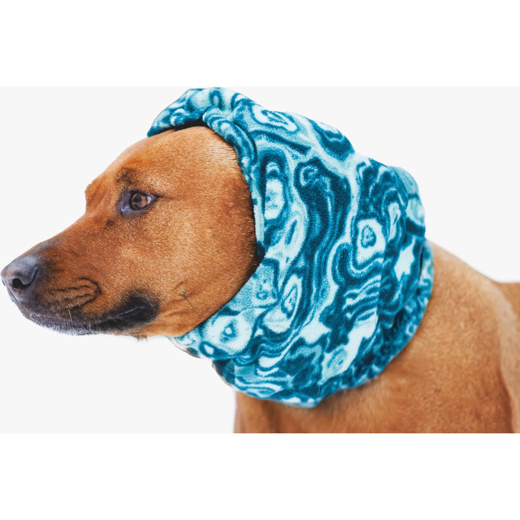 Ruffwear Mt. Hoodie Warming Dog Neck Gaiter, Deep Teal, 20 to 27-in neck