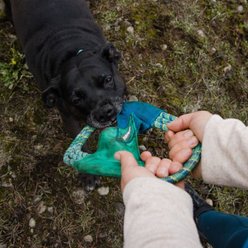 Ruffwear Pacific Ring Dog Toy, Aurora Teal slide 2 of 3