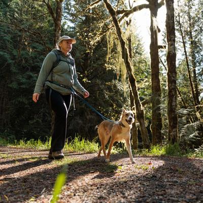 Show full view: Ruffwear Roamer Polyester Running Traffic-Handle Dog Leash, Orion Blue, 12-ft long, 1-in wide slide 4 of 8