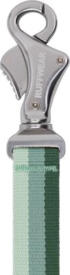 Show full view: Ruffwear Roamer Polyester Running Traffic-Handle Dog Leash, River Rock Green, 12-ft long, 1-in wide slide 3 of 8