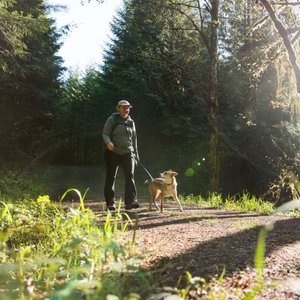 Ruffwear Roamer Polyester Running Traffic-Handle Dog Leash, River Rock Green, 7-ft long, 1-in wide