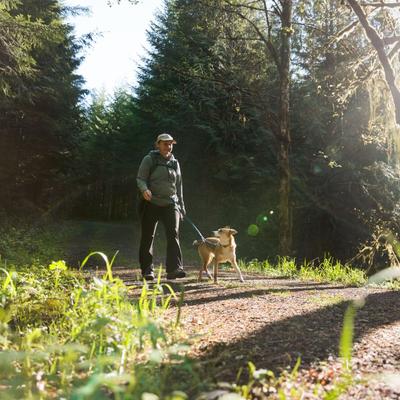 Show full view: Ruffwear Roamer Polyester Running Traffic-Handle Dog Leash, River Rock Green, 7-ft long, 1-in wide slide 4 of 8