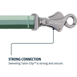 Ruffwear Roamer Polyester Running Traffic-Handle Dog Leash, River Rock Green, 7-ft long, 1-in wide