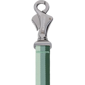 Ruffwear Roamer Polyester Running Traffic-Handle Dog Leash, River Rock Green, 7-ft long, 1-in wide
