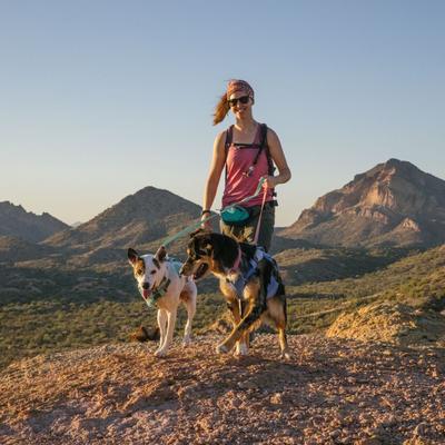 Show full view: Ruffwear Swamp Cooler Dog Harness, Heliotrope Purple, Small: 22 to 27-in chest slide 4 of 5