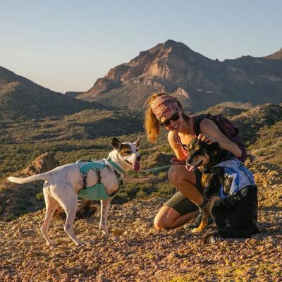 Show full view: Ruffwear Swamp Cooler Dog Harness, Sage Green, Medium: 27 to 32-in chest slide 4 of 5