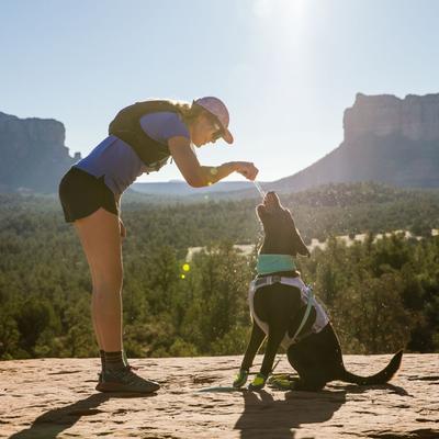 Show full view: Ruffwear Swamp Cooler Dog Neck Gaiter, Aurora Teal / Heliotrope Purple, Small slide 5 of 5