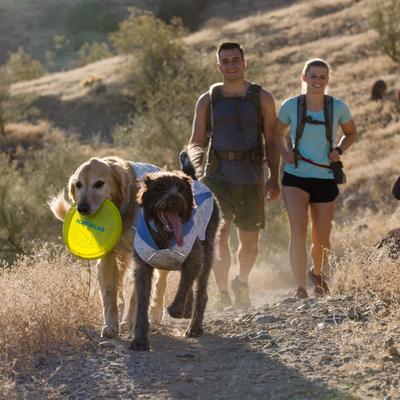 Show full view: Ruffwear Swamp Cooler Dog Vest, Heliotrope Purple, X-Large slide 4 of 7