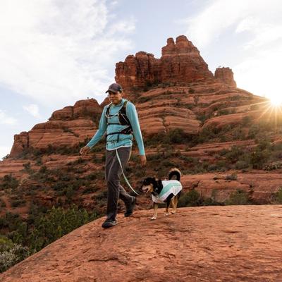 Show full view: Ruffwear Swamp Cooler Dog Vest, Sage Green, Large slide 4 of 7