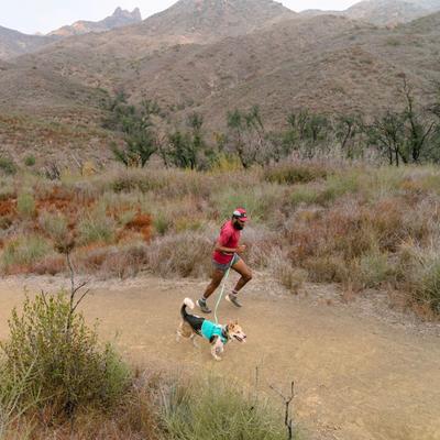 Show full view: Ruffwear Swamp Cooler Zip Dog Vest, Aurora Teal, Small slide 5 of 7