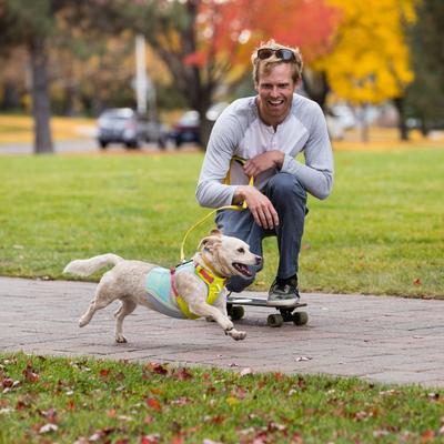 Show full view: Ruffwear Swamp Cooler Zip Dog Vest, Blue Mist, Small slide 4 of 6