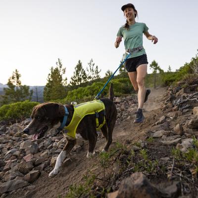 Show full view: Ruffwear Trail Runner Polypropylene Running Dog Leash, Blue Pool, Large: 5.5-ft long, 1-in wide slide 3 of 3