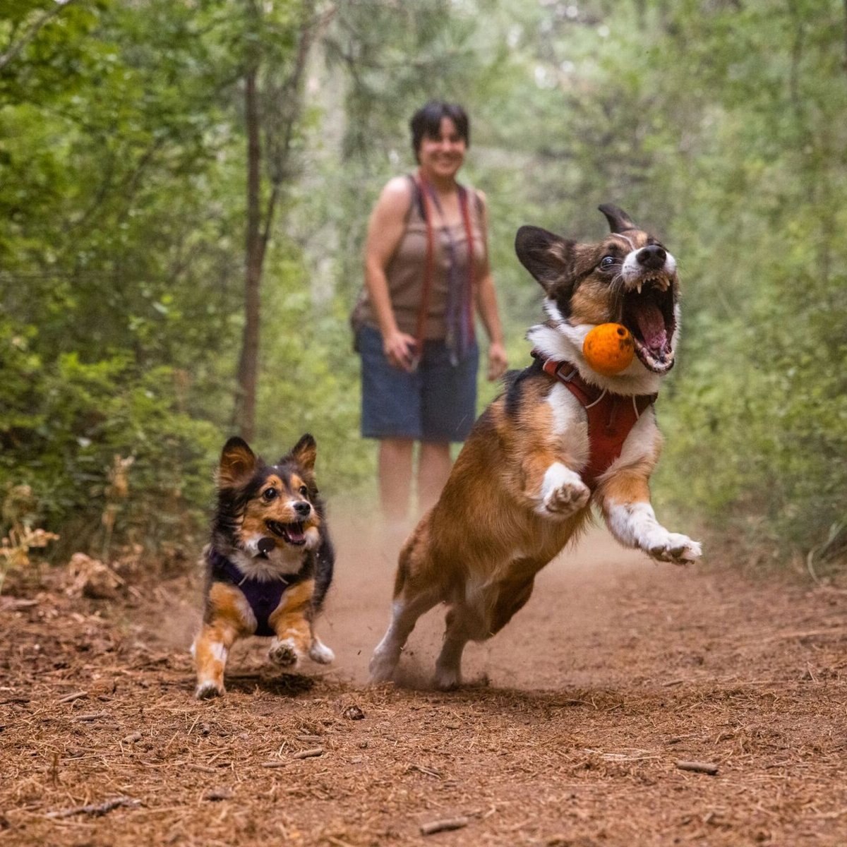 Ruffwear Turnup Dog Toy