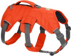 Ruffwear Web Master Reflective Dog Harness, Blaze Orange, Medium: 27 to 32-in chest