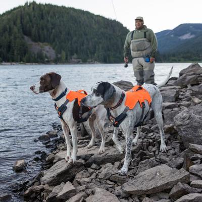 Show full view: Ruffwear Web Master Reflective Dog Harness, Blaze Orange, X-Small: 17 to 22-in chest slide 5 of 6