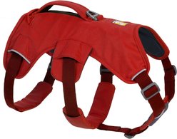 Ruffwear Web Master Reflective Dog Harness, Red Sumac, Small: 22 to 27-in chest