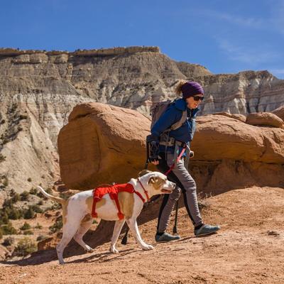 Show full view: Ruffwear Web Master Reflective Dog Harness, Red Sumac, Small: 22 to 27-in chest slide 5 of 6