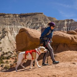 Ruffwear Web Master Reflective Dog Harness, Red Sumac, X-Small: 17 to 22-in chest slide 2 of 4