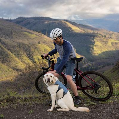 Show full view: Ruffwear Web Master Reflective Dog Harness, Slate Blue, X-Small: 17 to 22-in chest slide 5 of 6