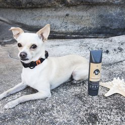 Rufus & Coco 2in1 Oatmeal Wash Shampoo & Conditioner for Dogs & Puppies, 6.76-fl oz bottle slide 2 of 2