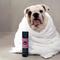 Show in main carousel: Rufus & Coco 2in1 Wash Puppy Shampoo & Conditioner, 6.76-fl oz bottle slide 3 of 5
