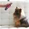 Show in main carousel: Rufus & Coco 3in1 Pamper Spray for Dogs & Puppies, 5.07-fl oz bottle slide 2 of 3