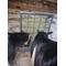 Show in main carousel: Rugged Ranch 3-in-1 Hanging Sheep & Goat Feeder slide 3 of 3
