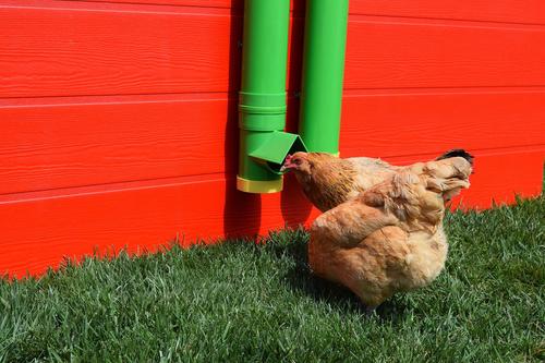 Show full view: Rugged Ranch Poultry Feeder slide 2 of 3