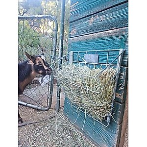Rugged Ranch Sheep & Goat Basket Feeder