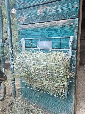 Show full view: Rugged Ranch Sheep & Goat Basket Feeder slide 3 of 4
