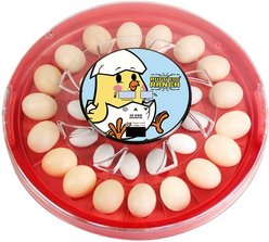 RUGG'egg' RANCH 30 Egg Incubator slide 1 of 3