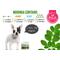 Show in main carousel: Ruji Naturals 6x1 Multivitamin Superfood Dog Supplement, 90 count slide 4 of 7