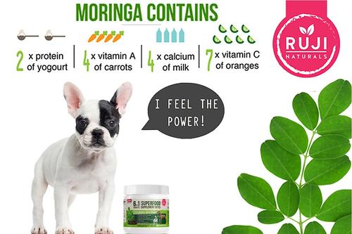 Show full view: Ruji Naturals 6x1 Multivitamin Superfood Dog Supplement, 90 count slide 4 of 7