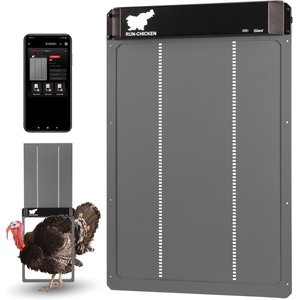 Run Chicken Door Opener GIANT Automatic Turkey Coop Accessory, Gray