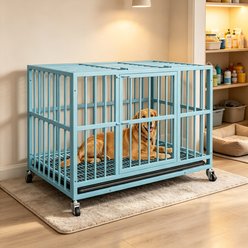 Rupzen Indoor Escape-Proof Double-Door Metal Dog Crate, Blue, 48 Inch slide 1 of 7