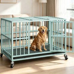Rupzen Indoor Escape-Proof Double-Door Metal Dog Crate, Green, 48 Inch slide 1 of 7
