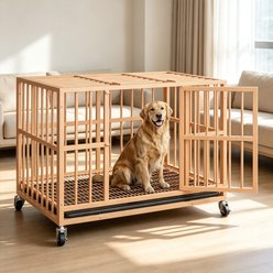 Rupzen Indoor Escape-Proof Double-Door Metal Dog Crate, Orange, 48 Inch slide 1 of 7
