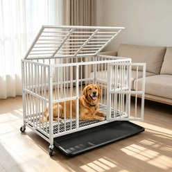 Rupzen Indoor Escape-Proof Double-Door Metal Dog Crate, White, 48 Inch