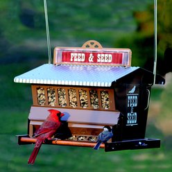 Rustic Farmhouse Absolute Feedb & Seed Squirrel-Resistant Wild Bird Feeder, 15-lb slide 2 of 2